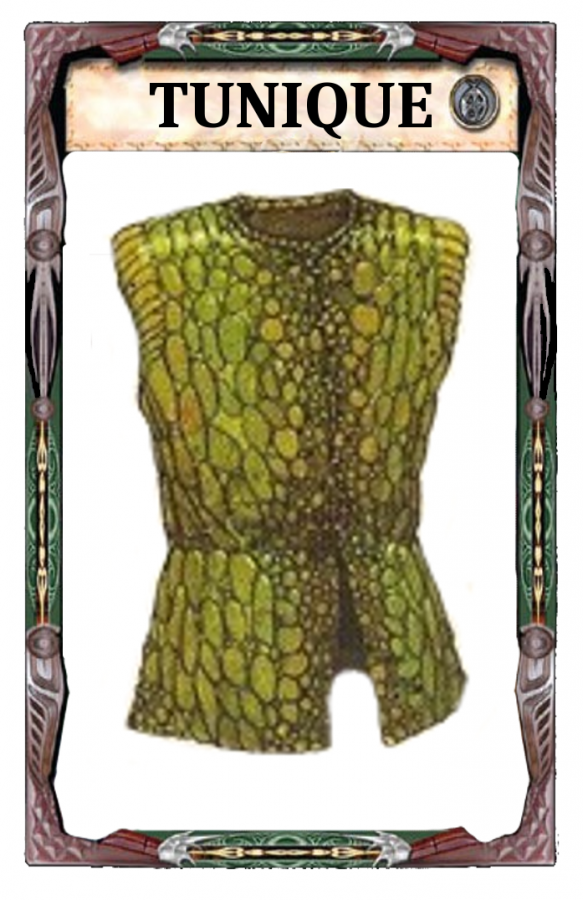 Tunique Peau de serpent Dos